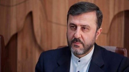 Qaribabadi: las normas del derecho internacional no deben aplicarse de manera selectiva