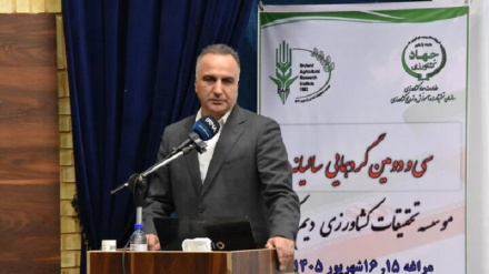 Iran yavunja rekodi ya uzalishaji wa zao la ngano