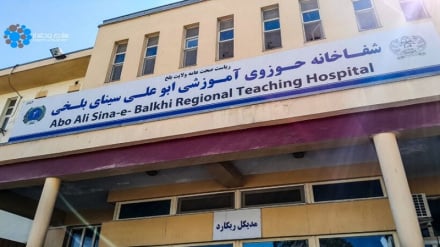 افزایش ۲۰ درصدی ابتلا به بیماری لشمانیا در ولایت بلخ