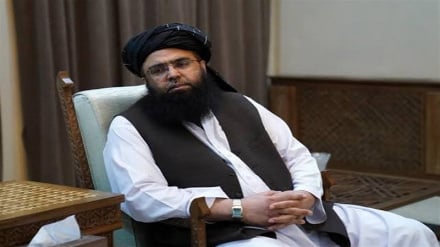 عبدالکبیر: نهادهای بین‌المللی به فکر حل دایمی مشکلات مهاجران بازگشته به افغانستان باشد