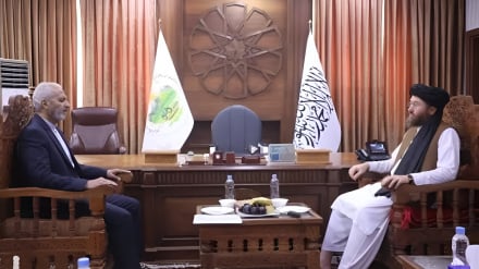 Menteri Pertanian Afghanistan Bertemu Dubes Iran; Fokus pada Pertanian, Peternakan, dan Pabrik Tekstil