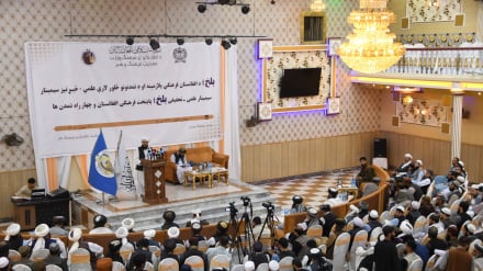  همایش «بازشناسی جایگاه تاریخی و فرهنگی بلخ» در مزارشریف