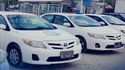آغاز فعالیت «افغان تور» در میدان هوایی هرات با سرمایه‌گذاری ۴۵ میلیون افغانی