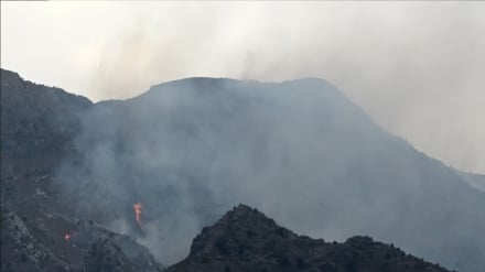 د افغانستان او پاکستان ترمنځ بیا نښتي شوي