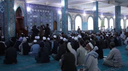 تاکید علمای دینی در بلخ بر حق دفاع افغانستان در مقابل حملات پاکستان