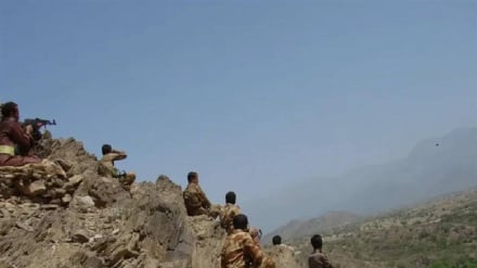تعز کې د سوله‌ییزې تسلیمۍ لپاره خبرې روانې دي