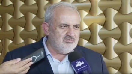 وزیر نیروی ایران:  افغان‌ها خوش حساب هستند 