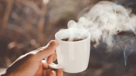 Apakah Minuman Hangat Mendinginkan Tubuh? Fakta Ilmiah di Balik Keyakinan Umum
