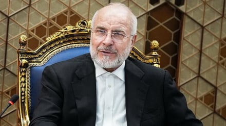 Галибаф: Виновные в убийстве мученицы Акилы будут привлечены к ответственности перед законом и правосудием