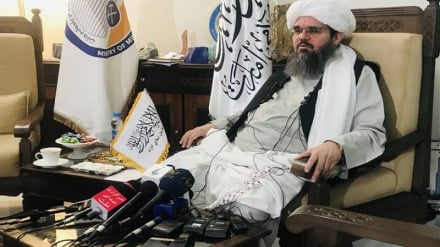 شهاب‌الدین دلاور:  در توافق نامه دوحه  نامی از زنان نیست