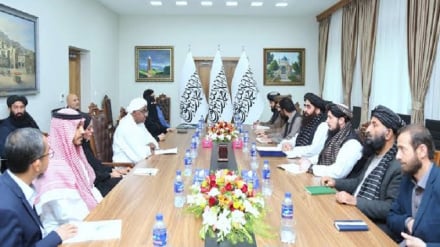  د اسلامي همکاریو سازمان او اروپايي ټولنې استازو د افغانستان پر وضعیت خبرې کړې دي