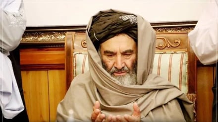 والی قندهار اظهارات سخنگوی ارتش پاکستان را رد کرد