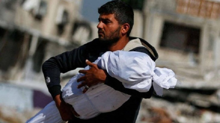په غزه کې د اوو فلسطینیانو شهادت؛ د شهیدانو شمېر ۷۴ زره او ۴۹۴ ته ورسېد