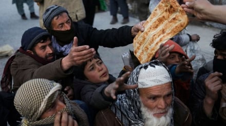 ۱۹ میلیون افغان در آستانه زمستان سخت؛ سازمان ملل نسبت به فاجعه گرسنگی هشدار داد