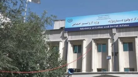 طرح شناسایی و اشتغال جوانان بازگشته به افغانستان در وزارت کار طالبان