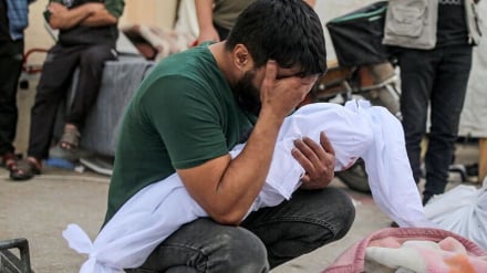 İsrail'in Gazze Şeridi'ne düzenlediği saldırılarda 8 Filistinli şehit oldu