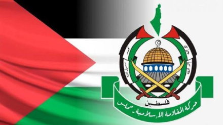 Hamas: Serangan ke Universitas Gaza adalah Contoh Kejahatan Perang