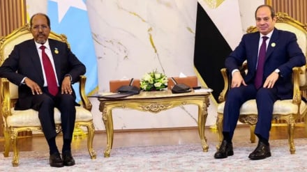 Wakuu wa Misri na Somalia wakutana wakati huu Ethiopia ikilalamikia kuchafuliwa usalama wake