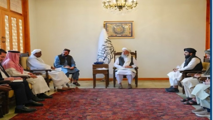  سازمان همکاری اسلامی و طالبان روابط را گسترش می‌دهند