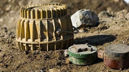 جمع‌آوری و انهدام ۴۶۶ مهمات عمل‌نکرده در پروان؛ گامی در کاهش تلفات انسانی و دامی