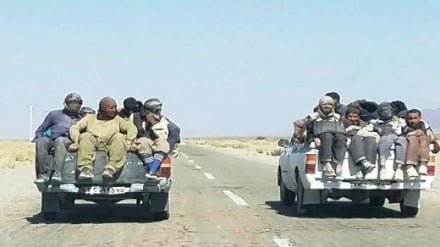 بازداشت 19 مهاجر غیر مجاز در مرز هرات به ایران