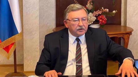Ulyanov: Sekjen NATO Tidak Memiliki Pengetahuan tentang Program Nuklir Iran