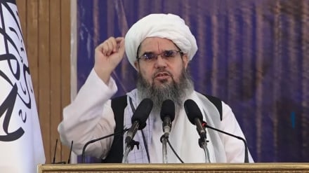 د افغانستان د سرې میاشتې ټولنې مشر د نړیوالو مرستو پر محدودیت او له سیاسي مسایلو سره د هغو پر تړاو نیوکه کړې