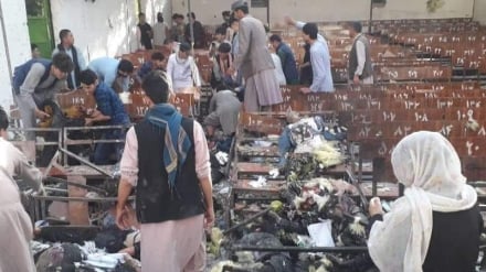 همه چیز در یک لحظه اتفاق افتاد؛ روایت بازماندگان آموزشگاه کاج چهار سال پس از حمله تروریستی