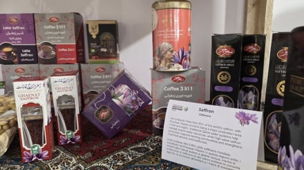 Shfaqja e arritjeve bujqësore dhe kulturës iraniane në ekspozitën botërore të FAO-s