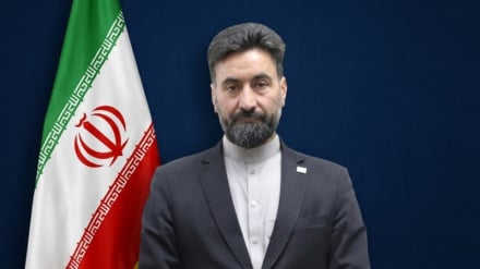 حافظ؛ میراث مشترک فرهنگی و تمدنی ایران و افغانستان