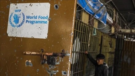WFP Kurangi Bantuan Pangan untuk Gaza