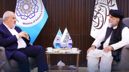 رایزنی درباره صادرات دو هزار مگاوات برق از ایران به افغانستان در دیدار مقام‌های دو کشور