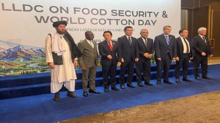 وزیر زراعت طالبان: زمینه برای سرمایه‌گذاران ازبکستانی در افغانستان فراهم است