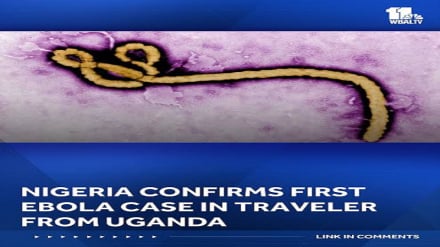 Nigeria yathibitisha kisa cha kwanza cha Ebola huku kukiwa na hofu ya kuenea ugonjwa huo barani Afrika